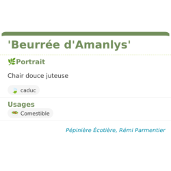 Fiche descriptive de Beurrée dAmanlys
