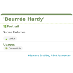 Fiche descriptive de Beurrée Hardy