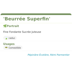 Fiche descriptive de Beurrée Superfin