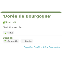 Fiche descriptive de Dorée de Bourgogne