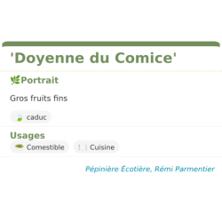 Fiche descriptive de Doyenne du Comice