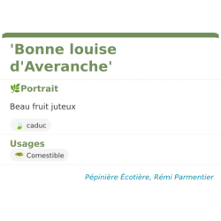Fiche descriptive de Bonne louise dAveranche