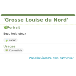 Fiche descriptive de Grosse Louise du Nord
