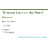 Fiche descriptive de Grosse Louise du Nord