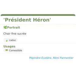 Fiche descriptive de Président Héron