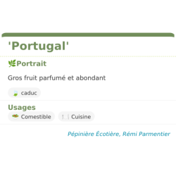 Fiche descriptive de Portugal