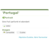Fiche descriptive de Portugal