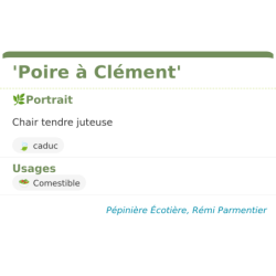 Fiche descriptive de Poire à Clément