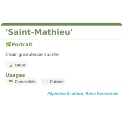 Fiche descriptive de Saint-Mathieu