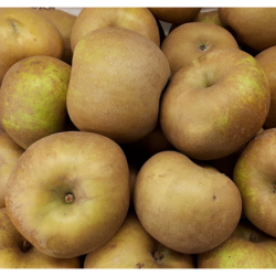 Photo d'un Canada Grise Chair fine acidulée