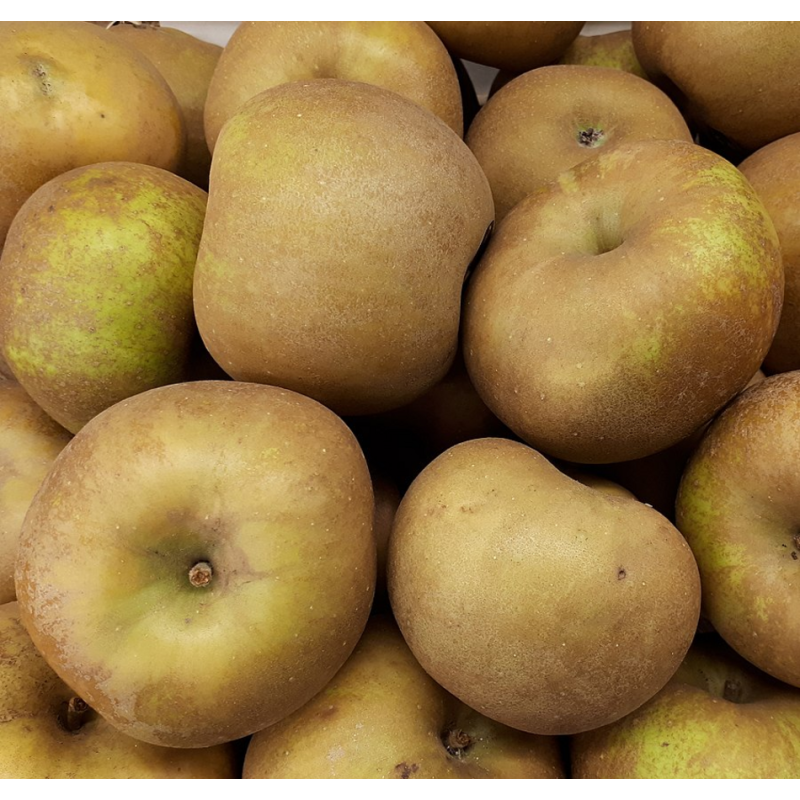 Photo d'un Canada Grise Chair fine acidulée