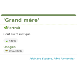 Fiche descriptive de Grand mère