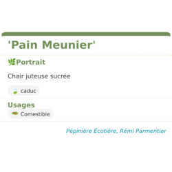 Fiche descriptive de Pain Meunier