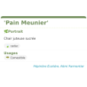Fiche descriptive de Pain Meunier