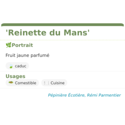 Fiche descriptive de Reinette du Mans