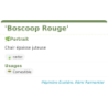 Fiche descriptive de Boscoop Rouge