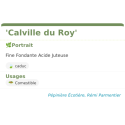 Fiche descriptive de Calville du Roy