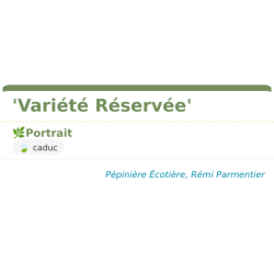 Fiche descriptive de Variété Réservée