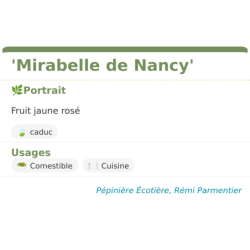 Fiche descriptive de Mirabelle de Nancy