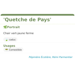 Fiche descriptive de Quetche de Pays
