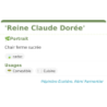 Fiche descriptive de Reine Claude Dorée