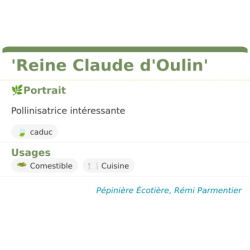 Fiche descriptive de Reine Claude dOulin