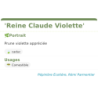 Fiche descriptive de Reine Claude Violette