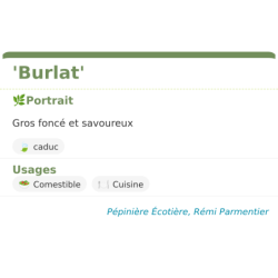 Fiche descriptive de Burlat