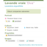 Fiche descriptive de Lavande vraie Diva