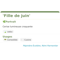 Fiche descriptive de Fille de juin