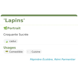 Fiche descriptive de Lapins