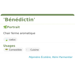 Fiche descriptive de Bénédictin