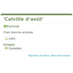 Fiche descriptive de Calville daoût