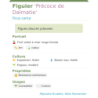 Fiche descriptive de Figuier Précoce de Dalmatie