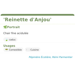 Fiche descriptive de Reinette dAnjou