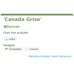 Fiche descriptive de Canada Grise