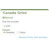 Fiche descriptive de Canada Grise