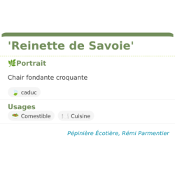 Fiche descriptive de Reinette de Savoie