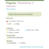 Fiche descriptive de Figuier Madeleine 2 saisons