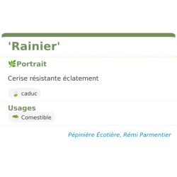Fiche descriptive de Rainier