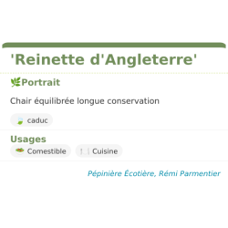 Fiche descriptive de Reinette dAngleterre