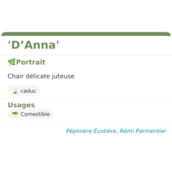 Fiche descriptive de DAnna