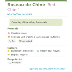  décorative