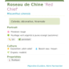  décorative