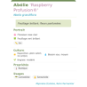Photo d'un Raspberry Profusion® Feuillage brillant