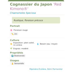 Photo d'un Red Kimono® Rustique