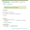 Photo d'un GOLDEN LADY® Orange doré