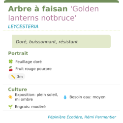  résistant