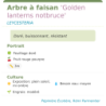  résistant