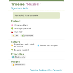  haie colorée